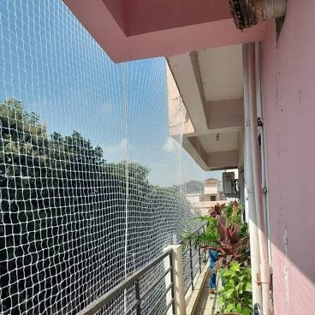 Professional balcony bird netting with plants and open sky view